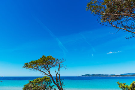 Blue sky over Maria Pia beach. Sardinia, Italyの写真素材