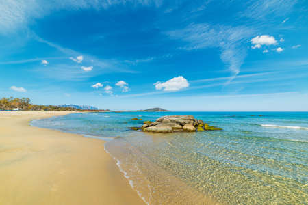 Golden shore in Orri beach. Sardinia, Italyの写真素材