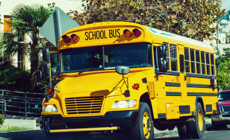 School bus parked by the school in Los Angeles, Californiaの写真素材