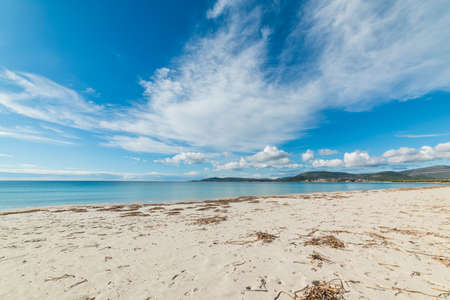 White sand in Alghero shoreline, Sardiniaの写真素材