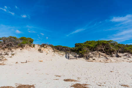 White sand in Maria Pia beach, Sardiniaの写真素材