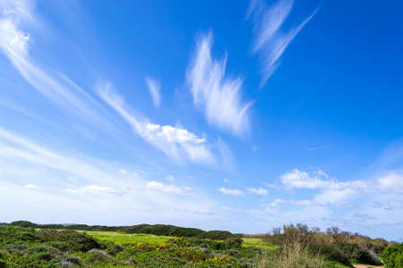Green field under a blue sky with clouds in Sardinia, Italyの写真素材