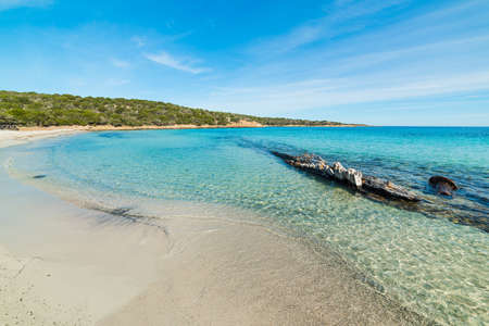 Blue sky over Andreani cove in Caprera, Sardiniaの写真素材