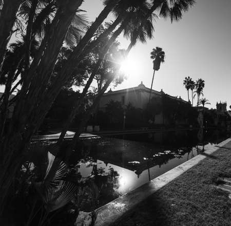 Plants and water in Balboa park, San Diego. California, USA. Black and whiteの写真素材