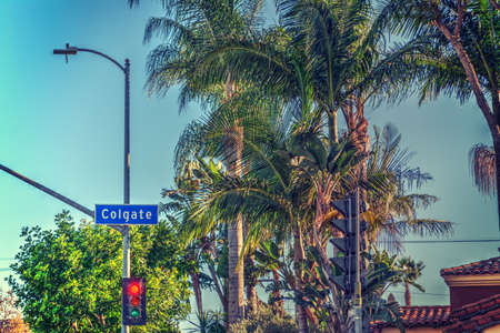 Palm trees in Colgate avenue, Beverly Grove. Los Angeles, Californiaの写真素材