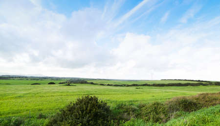 Cloudy sky over a green field in the springtime. Sardinia, Italyの写真素材