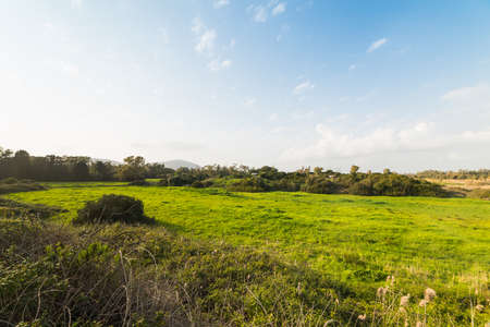 Green field and blue sky in Sardinia, Italyの写真素材