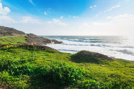 Green meadow by the sea in Sardinia, Italyの写真素材
