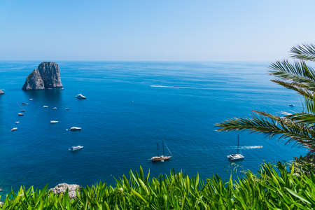 Green plants with world famous Capri sea stacks on the background. Campania, Italyの写真素材