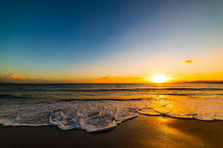 Alghero shore under a clear sky at sunset. Sardinia, Italyの写真素材