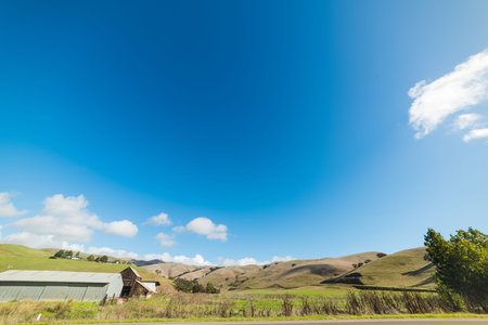 Barns in a green meadow in Central California, USA