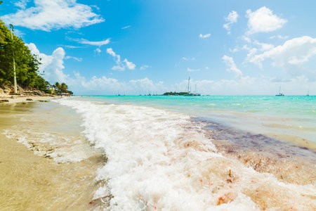 Small wave in La Datcha beach in Guadeloupe, French west indies. Lesser Antilles, Caribbean sea