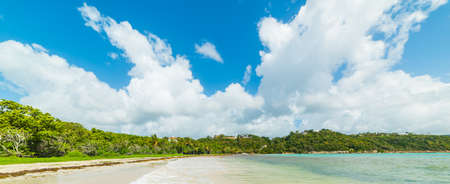 Pointe de la Saline beach on a sunny day in Guadeloupe, Caribbean seaの写真素材