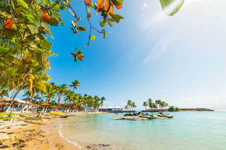 Colorful shore in Bas du Fort beach in Guadeloupe, French west indies. Lesser Antilles, Caribbean seaの写真素材