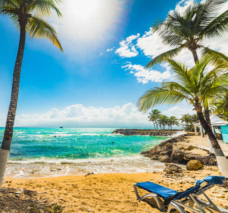 Beach chair and Coconut palm trees in Bas du Fort beach in Guadeloupe, French west indies. Lesser Antilles, Caribbean seaの写真素材