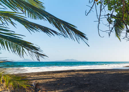 Dark sand and coconut palm trees in Grande Anse beach in Guadeloupe, French west indies. Lesser Antilles, Caribbean seaの写真素材