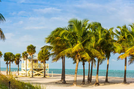 Palm trees and white sand in Key Biscayne at sunset.の写真素材