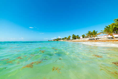 Clear water in Raisins Clairs beach in Guadeloupe, French west indies. Lesser Antilles, Caribbean seaの写真素材