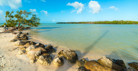 White sand and turquoise water in beau