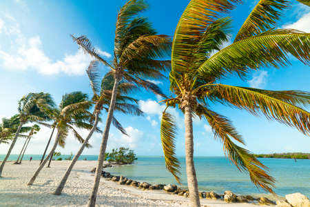 Beautiful Sombrero Beachの写真素材