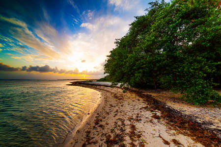 Bois Jolan beach at sunset in Guadeloupe, French west indies. Lesser Antilles, Caribbean seaの写真素材