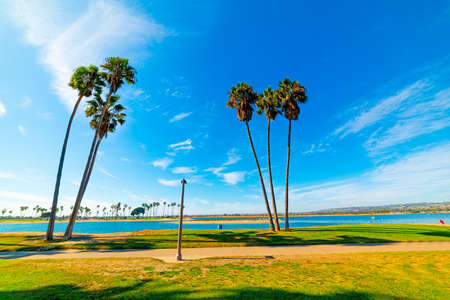 Palm trees in Mission Bay, San Diego. Southern California, USAの写真素材