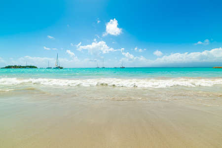 La Datcha beach in Guadeloupe, French west indies. Lesser Antilles, Caribbean seaの写真素材
