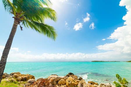 Turquoise water in Le Gosier shore in Guadeloupe, French west indies. Lesser Antilles, Caribbean seaの写真素材