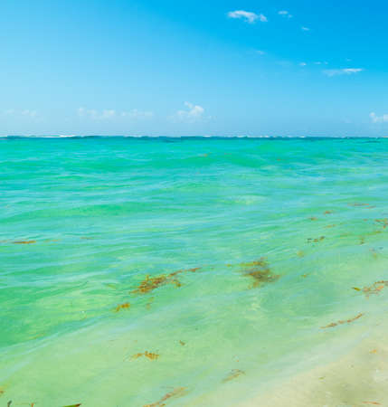 Turquoise water and blue sky in Guadeloupe, French west indies. Lesser Antilles, Caribbean seaの写真素材