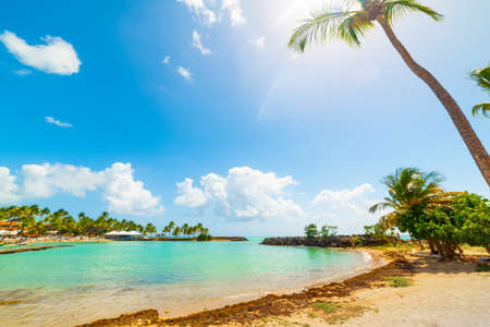 Sun shining over Bas Du Fort beach in Guadeloupe, French west indies. Lesser Antilles, Caribbean seaの写真素材