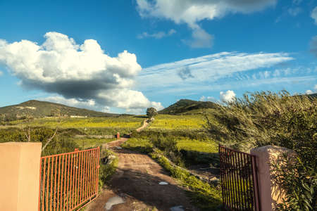 Cloudy sky over a dirt path in Sardinia, Italyの写真素材