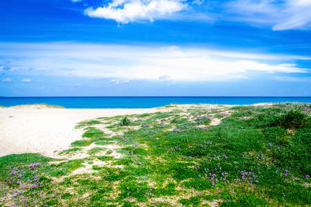 Beautiful Fiume Santo shore on a sunny day. Sardinia, Italyの写真素材