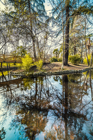 Trees reflected on the water in Buen Retiro park in Madrid, Spain