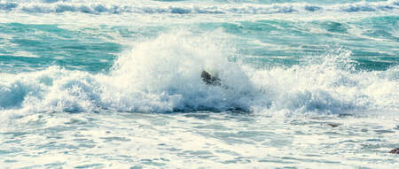 Rough sea in Porto Ferro coast. Sardinia, Italyの写真素材