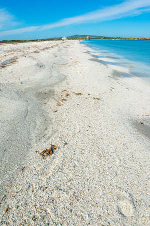 White pebbles in Le Saline Beach in Stintino. Sardinia, Italyの写真素材