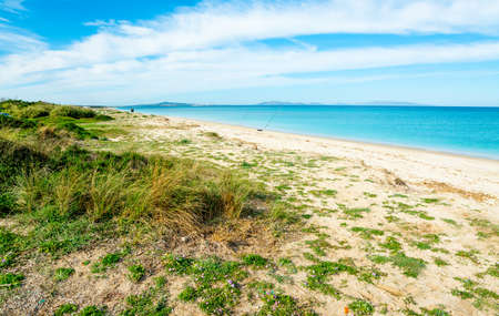 White sand in Fiume Santo beach. Sardinia, Italyの写真素材