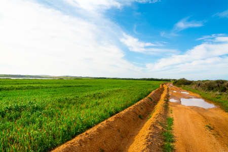 Furrow in orange soil in a green field under a blue sky. Sardinia, Italyの写真素材