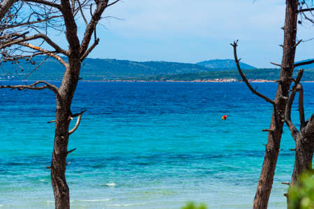 Blue sea in Maria Pia beach in Alghero. Sardinia, Italyの写真素材
