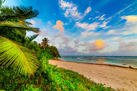 Colorful sunset in Bois Jolan beach in Guadeloupe, French west indies. Lesser Antilles, Caribbean seaの写真素材