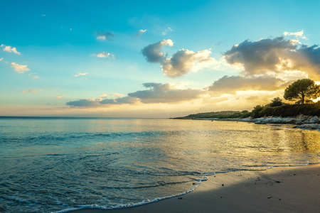 Fertilia shore under a clear sky at sunset. Sardinia, Italyの写真素材