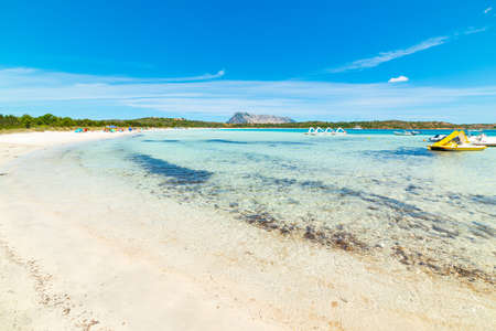 Cala Brandinchi under a blue sky in the springtime. Sardinia, Italyの写真素材