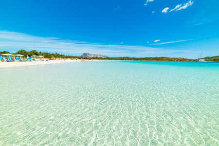 Crystal clear water in Cala Brandinchi. Sardinia, Italyの写真素材