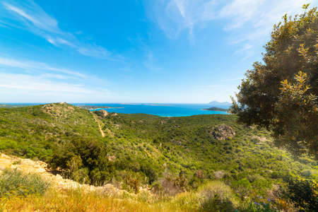 Mediterranean scrub and blue sea in Sardinia, Italyの写真素材