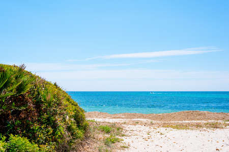 Sun shining over Le Bombarde beach in springtime. Sardinia, Italyの写真素材