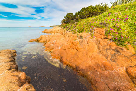Rocky shore in Piccolo Pevero beach. Sardinia, Italyの写真素材