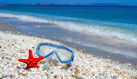 Diving mask and sea star by the sea in the summertimeの写真素材