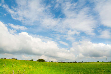 Clouds over a green meadow in springtime. Sardinia, Italyの写真素材