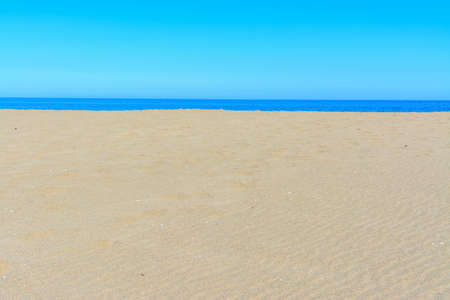 Golden shore under  a blue sky in springtime. Sardinia, Italyの写真素材