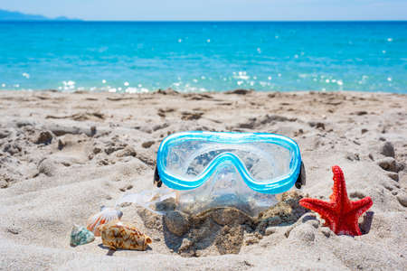 Diving mask and shells on the beach in the summertimeの写真素材