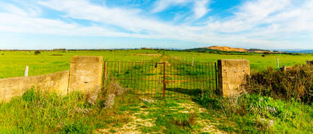 Rusty gate by a green field in springtime. Sardinia, Italyの写真素材